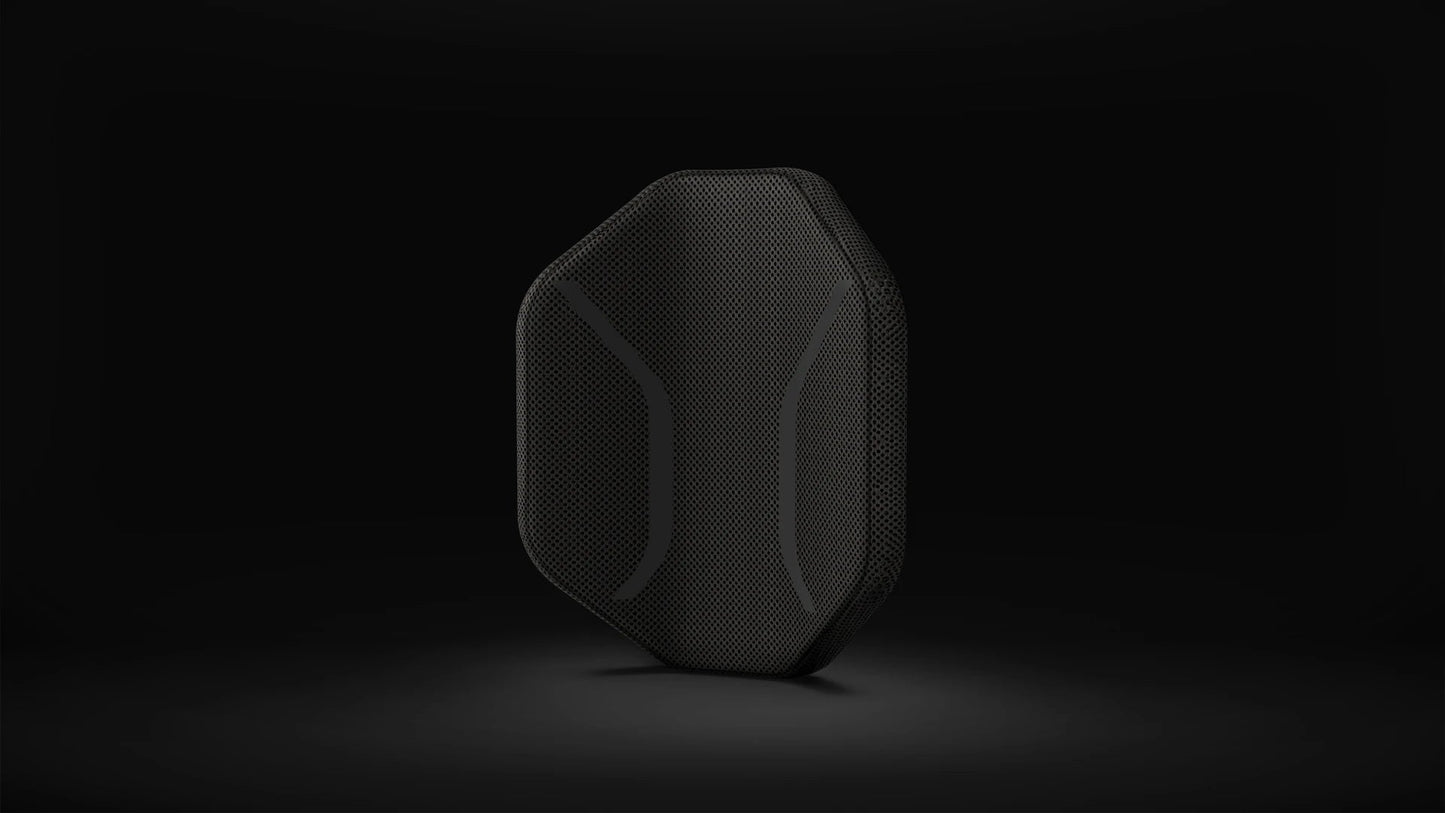 FitBack Buddy - Beyond Mobility.