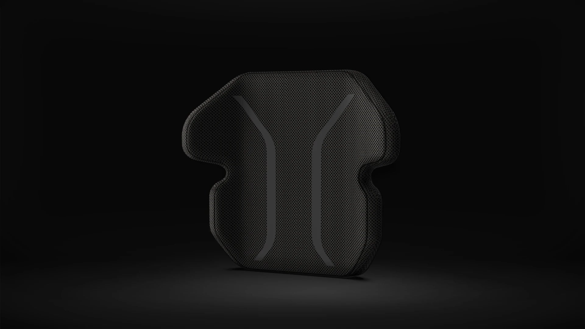 Aria FitBack Flexy - Beyond Mobility.