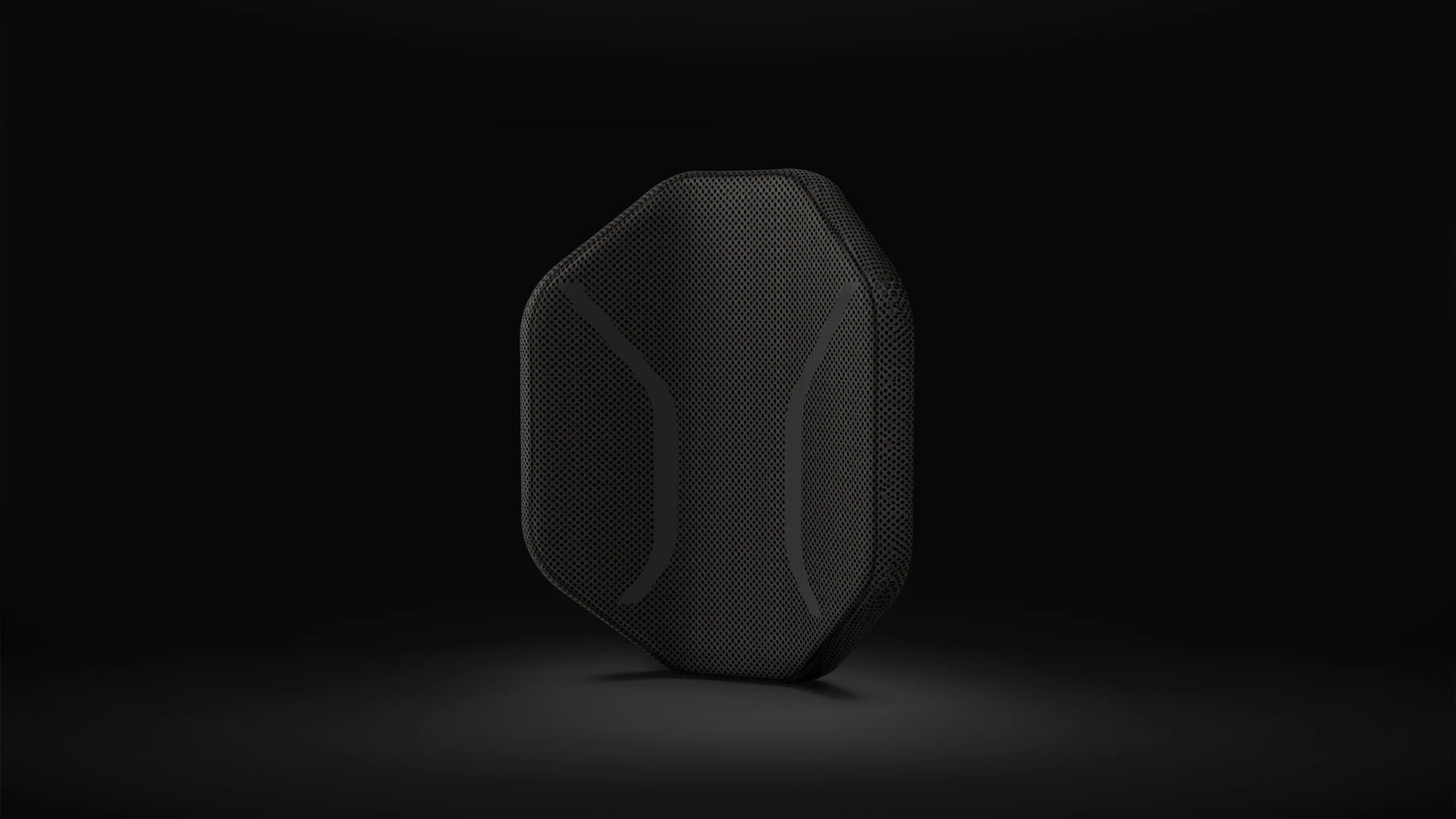 FitBack Buddy - Beyond Mobility.
