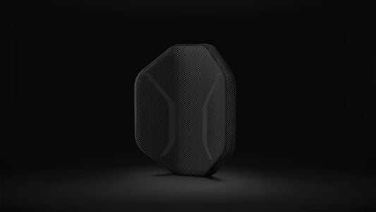 FitBack Buddy - Beyond Mobility.